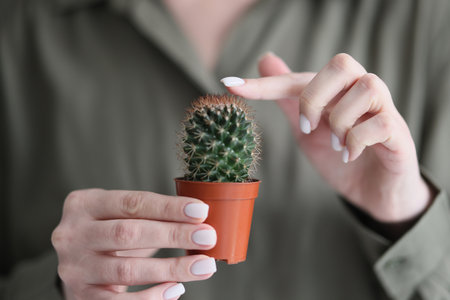 Woman touches green spiked cactus with index fingerの写真素材
