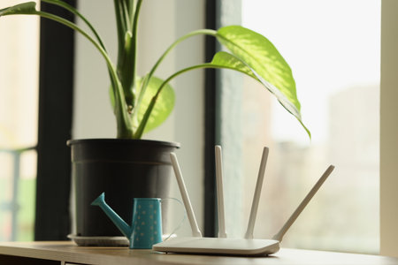 WiFi router stands on table near pot-plant with big leavesの写真素材