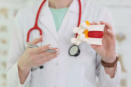 Doctor with stethoscope holds realistic model of vertebraの写真素材