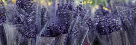 Fresh lavender flowers in basket at market closeupの写真素材