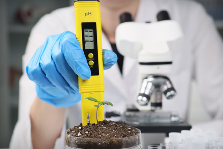 Female scientist examines soil in container with cannabisの写真素材