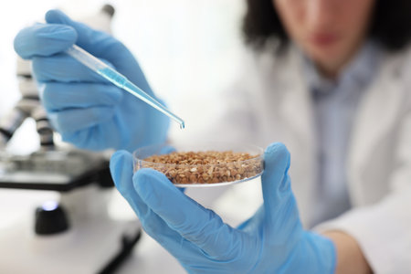 Concentrated man takes buckwheat grains from Petri dish