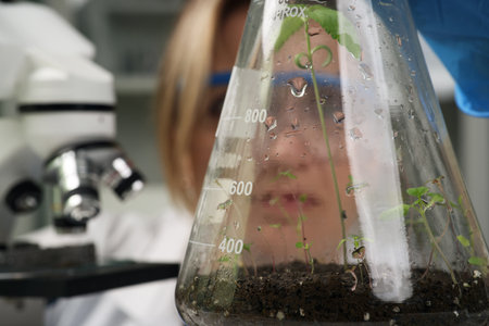 Focused scientist holds glass flask with cannabis sprout