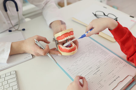 Little girl cleans jaw model with toothbrush at appointmentの写真素材