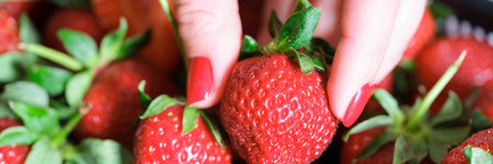 Female hand with bright red gel polish manicure holding ripe strawberryの写真素材