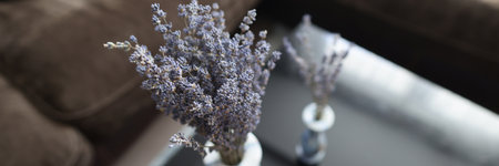 Bouquet of aromatic dried lavender or lavandin flowers in white vaseの写真素材