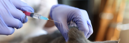 Woman veterinarian making injection to grey cat