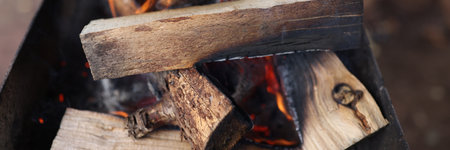Bonfire flame and burning logs close-up.