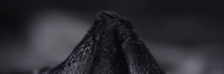 Element of gray hairy fabric.の写真素材