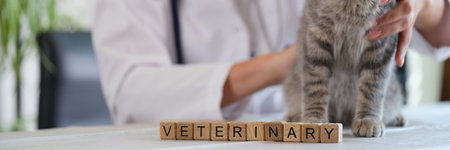 Letters veterinary on wooden cubes and vet doctor holds cat sitting on table in veterinary clinic.の写真素材