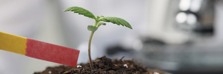 Scientist does test of soil fertility using indicator paperの写真素材