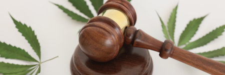 Judge gavel lies on sound block among leaves of cannabisの写真素材