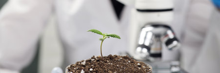 Lady scientist examines sample of soil under microscope