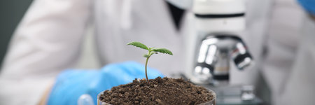 Female scientist examines sample of soil under microscopeの写真素材