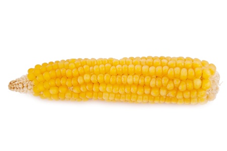 Gold corn on the white background