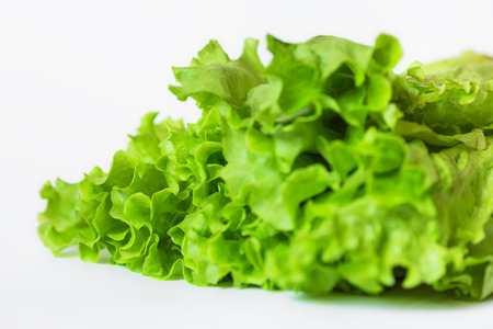 Closeup of green lettuce isolated on whiteの写真素材
