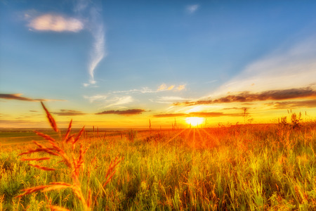 Wide meadow beneath evening sky and sunsetの写真素材