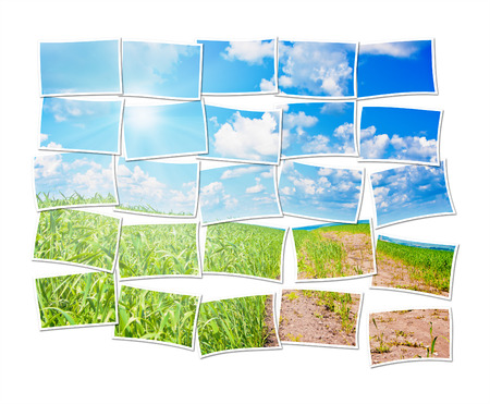 Collage of a twenty five frames composing one picture of a natureの写真素材