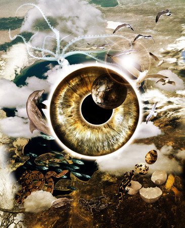 Seeing the world through the eyes of fauna  Part 2の写真素材
