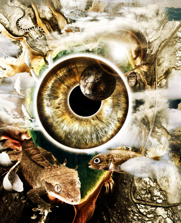 Seeing the world through the eyes of faunaの写真素材