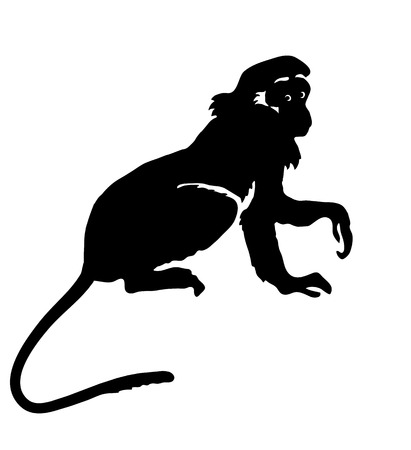 Monkey. Hand drawn silhouette of animal on white backgroundのイラスト素材
