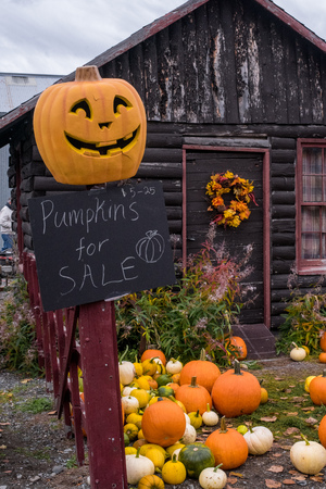 Pumpkins for sale in front of rustic cabinのeditorial素材