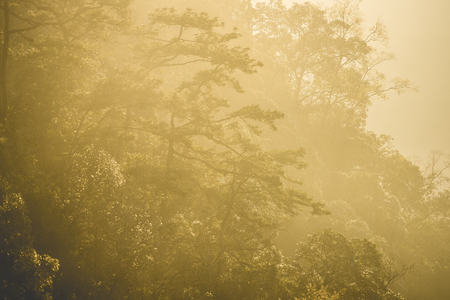 Mountain valley during sunset. Natural rainy season landscape in Thailandの写真素材