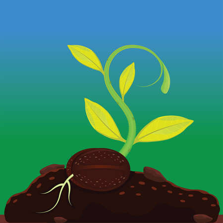 New born plant with seed vector illustrationのイラスト素材