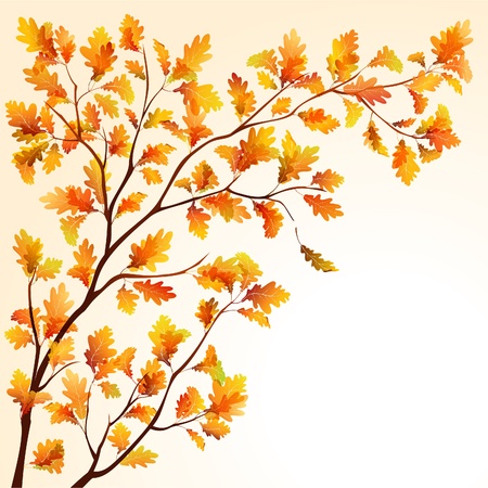 Autumn oak tree branche on bright background. EPS10のイラスト素材