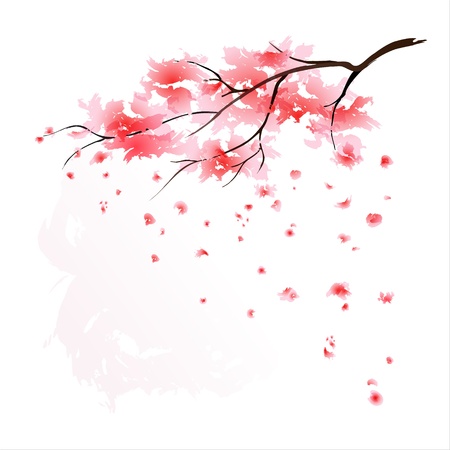 Stylized Sakura blossom - Japanese cherry tree with flying petals. EPS10.のイラスト素材