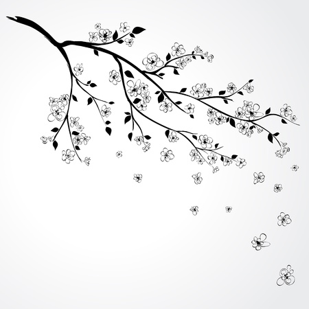 Illustration of flowering branch of Sakura with flying petals のイラスト素材