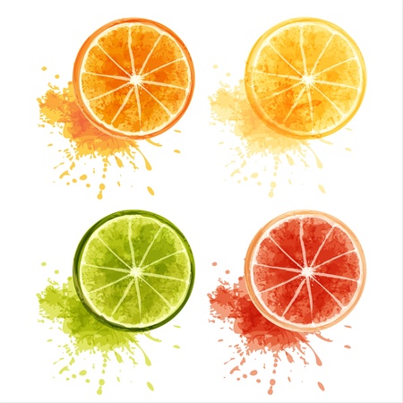 Set of ripe citrus fruits  - orange, lemon, lime, grapefruit  EPS10のイラスト素材
