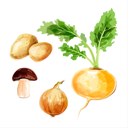 Set of watercolor vegetables. Sketchesのイラスト素材