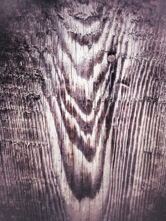 Old grunge wood texture abnd background texture.の写真素材