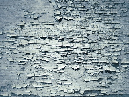 Old grunge wood texture abnd background texture.の写真素材