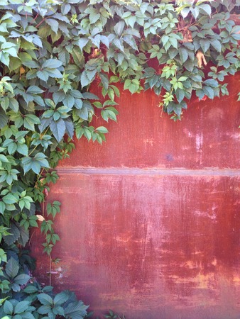 Old grunge textures and grunge abstract backgroundsの写真素材