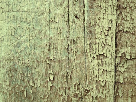 Old grunge wood texture abnd background texture.の写真素材