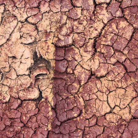 Old grunge textures and grunge abstract backgroundsの写真素材