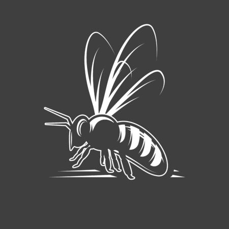 Bee isolated on black background. Vector illustrationのイラスト素材
