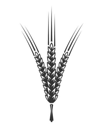 Spikelet hand drawn isolated on white background. Design element. Vector illustrationのイラスト素材