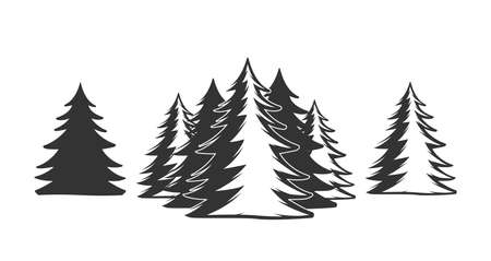 Fores tree isolated on white background. Camping design elements. Vector illustrationのイラスト素材
