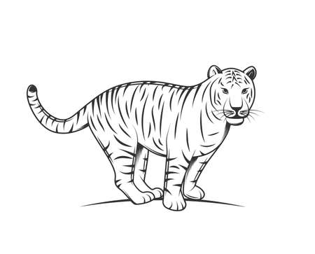 Tiger silhouette isolated on white background. Design elements. Vector illustrationのイラスト素材
