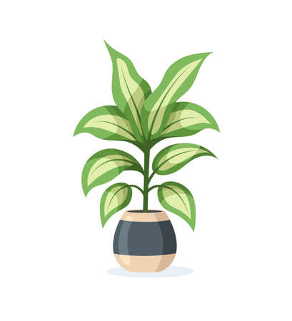 Home plant in flower pot isolated on white background in flat style. Vector illustrationのイラスト素材