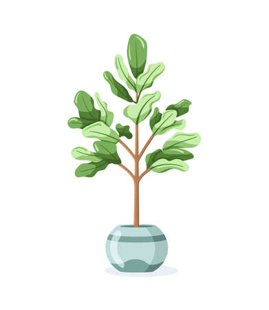 Home plant in flower pot isolated on white background in flat style. Vector illustrationのイラスト素材