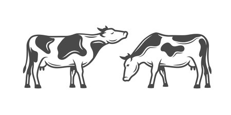 Meny farm cows isolated on white background. vector illustrationのイラスト素材