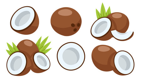 Set of coconut icons isolated on white background. cartoon style. vector illustrationのイラスト素材