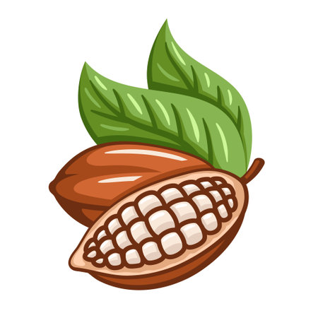 Cocoa beans isolated on white background. logo template. Cacao beans. design elements. vector illustrationのイラスト素材