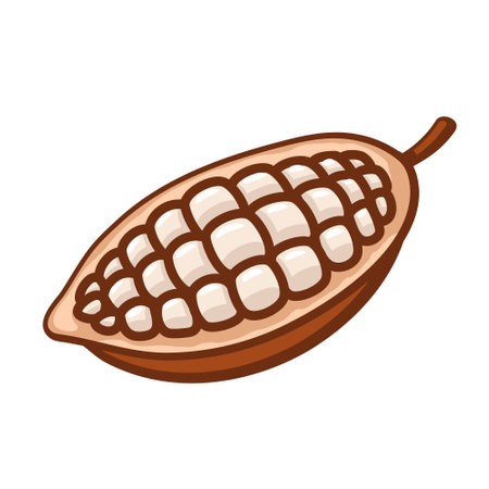 Cocoa beans isolated on white background. logo template. Cacao beans. design elements. vector illustrationのイラスト素材