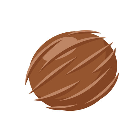 Coconut icon isolated on white background. cartoon style. vector illustrationのイラスト素材