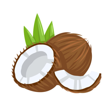 Coconut icon isolated on white background. cartoon style. vector illustrationのイラスト素材